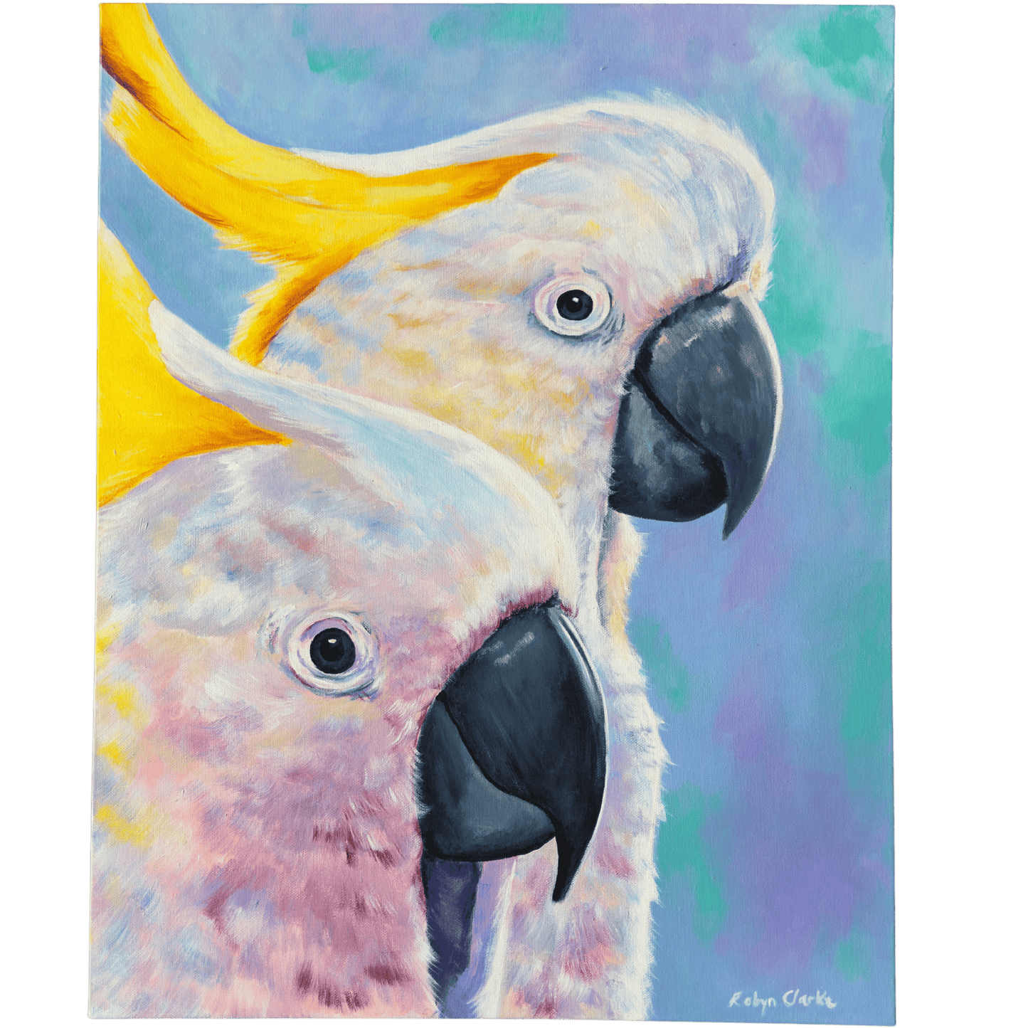 Sulphur-Crested Cockatoos