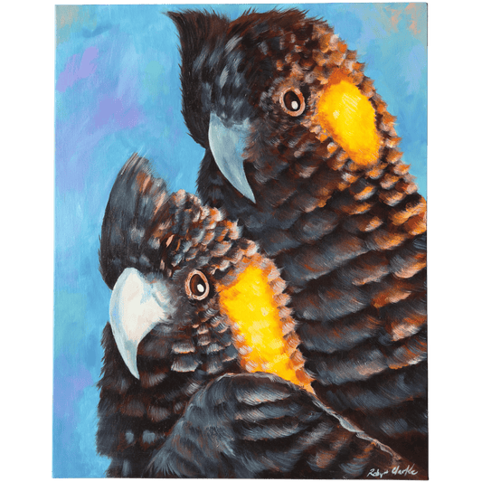 Black Cockatoo's