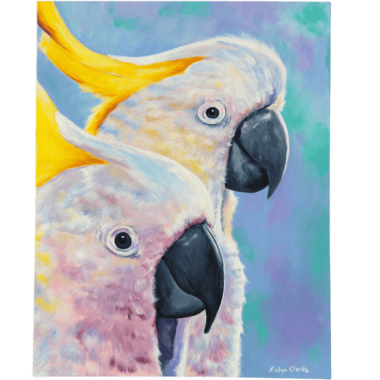 Sulphur-Crested Cockatoos